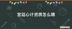 宫廷心计随从资质加点 宫廷心计资质怎么喂