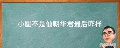 小凰不是仙书评 小凰不是仙朝华君最后咋样