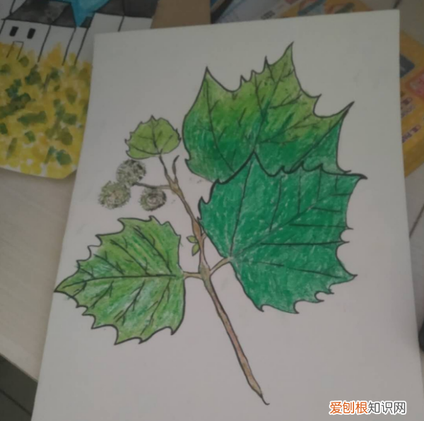 如何把照片印在木板上，怎么在木制品上印字或图案视频