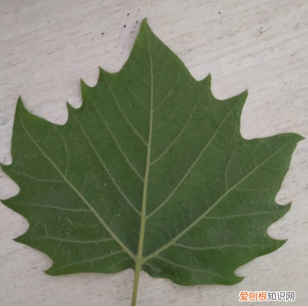 如何把照片印在木板上，怎么在木制品上印字或图案视频