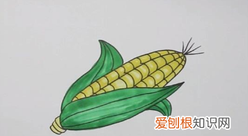 玉米种类，整体玉米怎么画才好看又简单