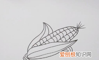 玉米种类，整体玉米怎么画才好看又简单