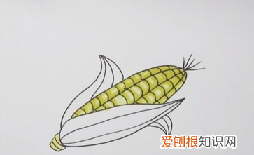 玉米种类，整体玉米怎么画才好看又简单