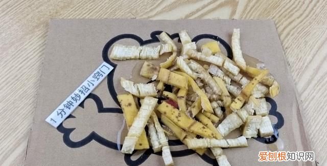 蟑螂药一窝端强效家用灭蟑螂克星