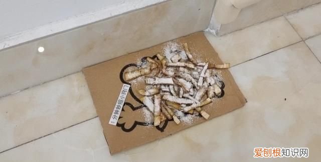 蟑螂药一窝端强效家用灭蟑螂克星
