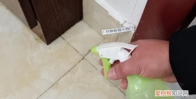 蟑螂药一窝端强效家用灭蟑螂克星