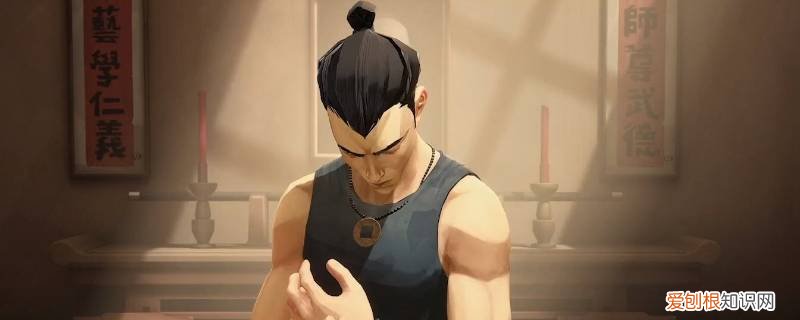 师父买ns还是ps