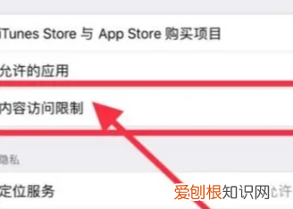 苹果手机应该怎么样隐藏App图标