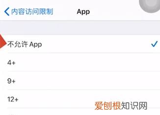 苹果手机应该怎么样隐藏App图标