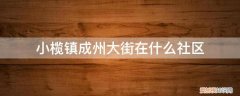 小榄镇新市社区居委会 小榄镇成州大街在什么社区