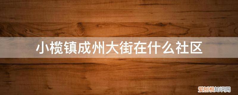 小榄镇新市社区居委会 小榄镇成州大街在什么社区
