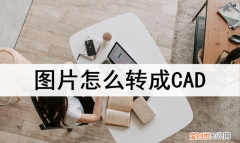 图片怎么转换成cad用什么软件
