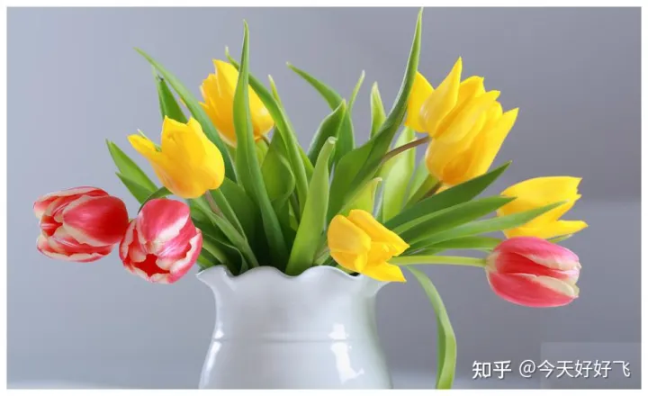 养花不要浪费了，换种方法，一举多得，瞬间提高档次