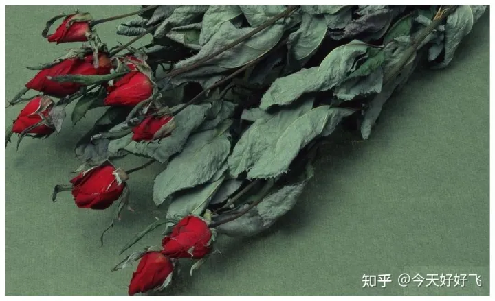 养花不要浪费了，换种方法，一举多得，瞬间提高档次