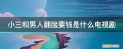 对付小三的电视剧 小三和男人翻脸要钱是什么电视剧