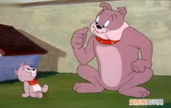 猫和老鼠里的狗是什么品种 猫和老鼠里的狗是什么犬