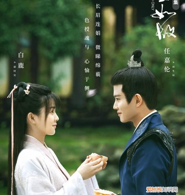 热播虐心电视剧《周生如故》在线观看