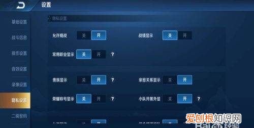 王者荣耀官网入口体验服，王者荣耀怎么设置不让别人观战