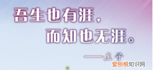 吾生也有涯 而知也无涯的意思