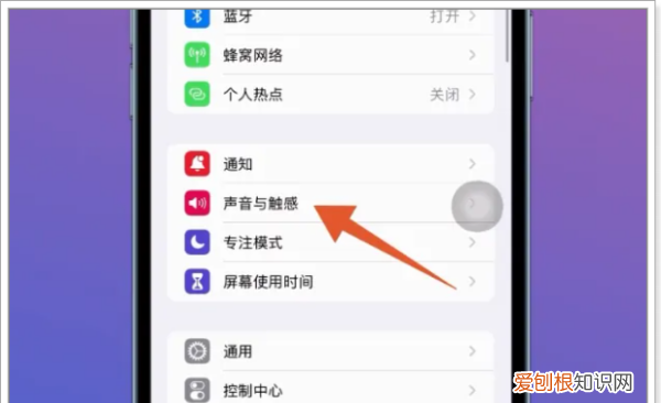 苹果手机彩铃怎么设置，苹果彩铃如何设置网易云