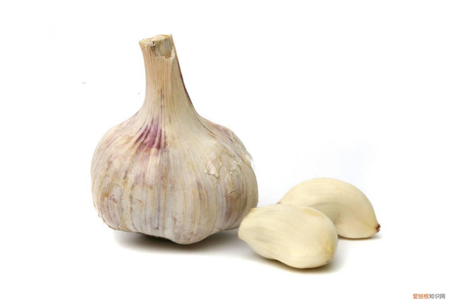 种大蒜什么肥料最好 大蒜专用肥 种植大蒜用什么肥料好