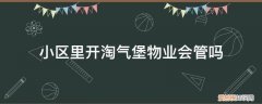 有没有在小区开淘气堡的 小区里开淘气堡物业会管吗
