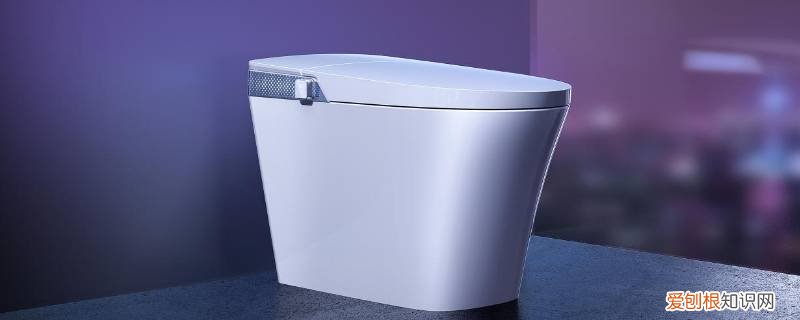 帝王智能马桶怎么拆 帝王智能马桶一年后要换芯片吗