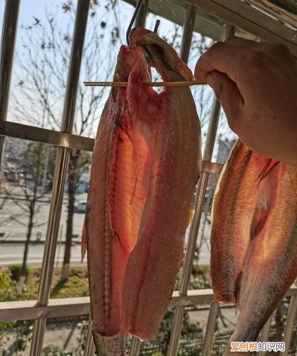 晒鱼干制作方法，小鱼干怎么晒不会臭