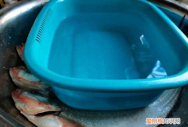 晒鱼干制作方法，小鱼干怎么晒不会臭