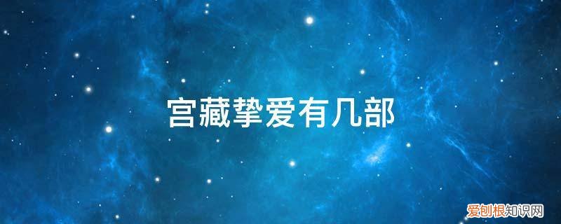 宫藏挚爱有几部动漫 宫藏挚爱有几部