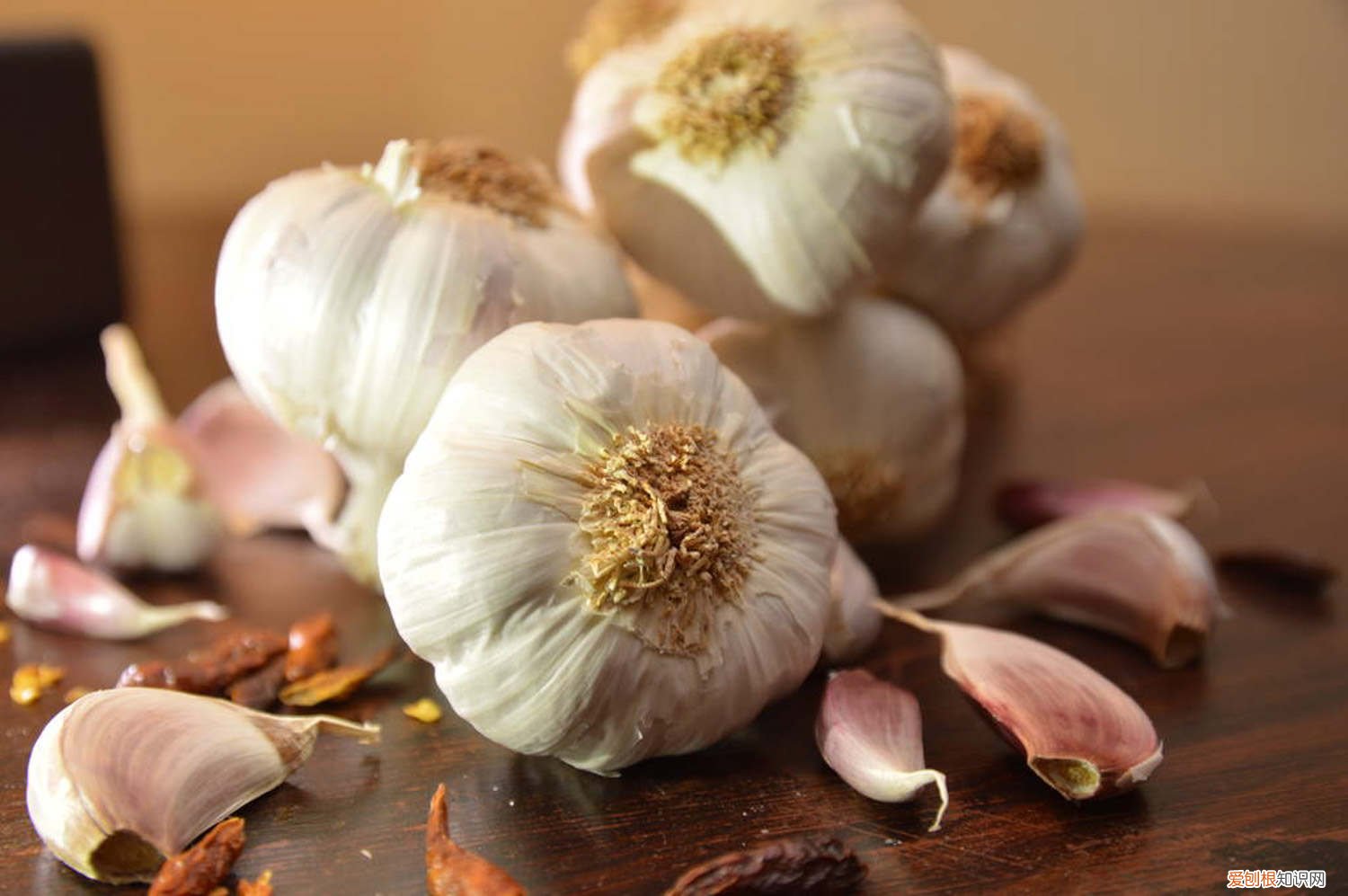 大蒜一般什么时候种植 大蒜种植时间，大蒜什么时候种