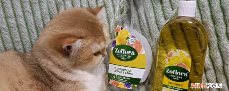 兽用消毒液是兽药吗 宠物消毒液是消毒产品还是兽药