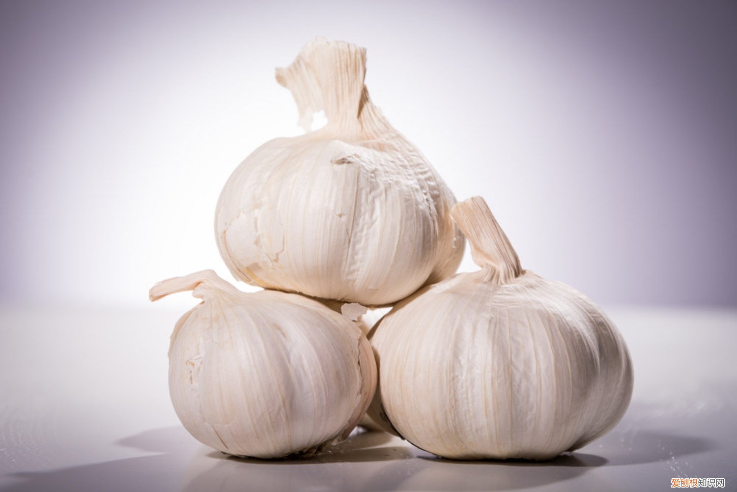 大蒜种植规格 大蒜怎么种植，大蒜批发价格