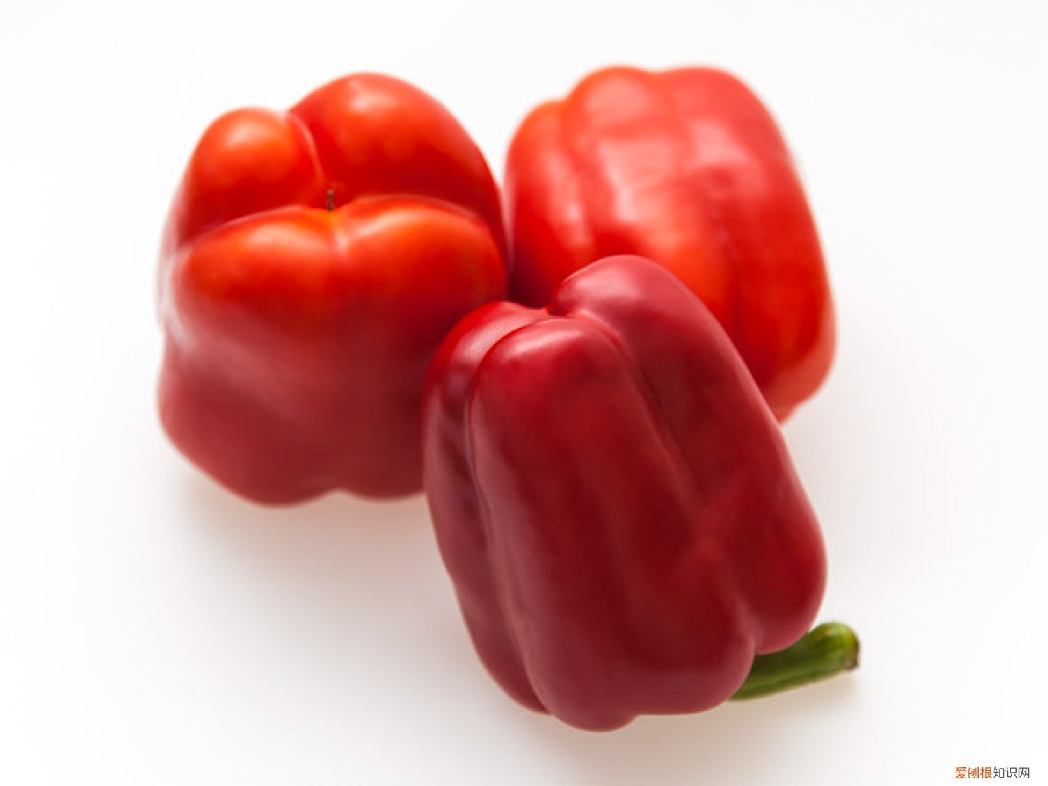 现在辣椒什么价钱 辣椒怎么种,辣椒的价格