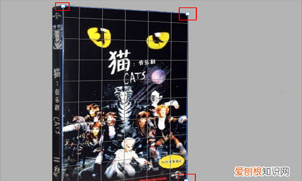 PS透视变形工具怎么用,ps变形右键找不到扭曲透视工具怎么办