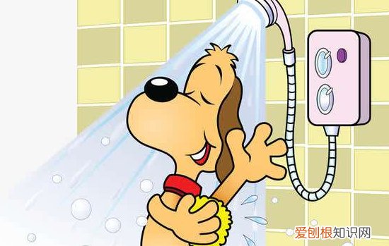 狗狗可不可以吃香菇 泰迪狗能不能吃香菇,狗能不能吃香菇?,请问狗狗能不能吃香菇