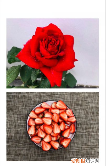 两张应该咋合成一张，如何将两张pdf合成一张pdf