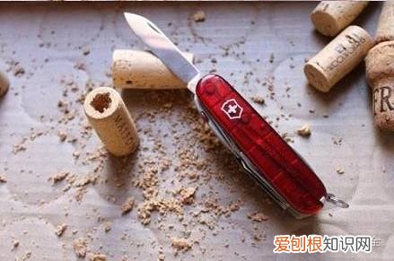 养花小技巧,轻松养,28个养花小绝技,学会你也是养花达人! 养啥都能活