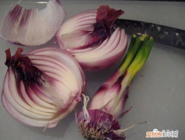 养花小技巧,轻松养,28个养花小绝技,学会你也是养花达人! 养啥都能活