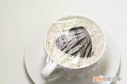 养花小技巧,轻松养,28个养花小绝技,学会你也是养花达人! 养啥都能活