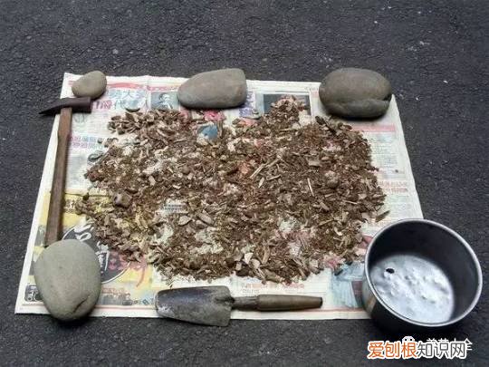 养花小技巧,轻松养,28个养花小绝技,学会你也是养花达人! 养啥都能活