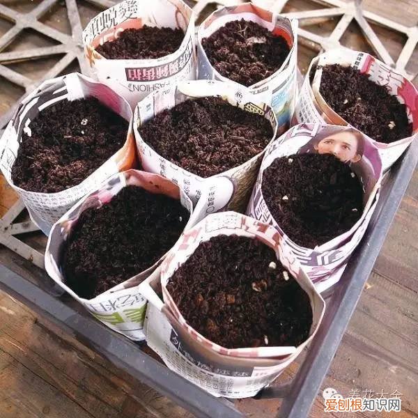 养花小技巧,轻松养,28个养花小绝技,学会你也是养花达人! 养啥都能活