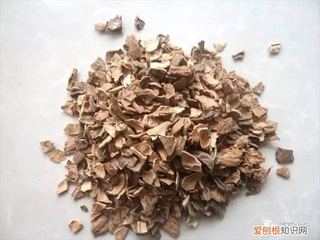 养花小技巧,轻松养,28个养花小绝技,学会你也是养花达人! 养啥都能活