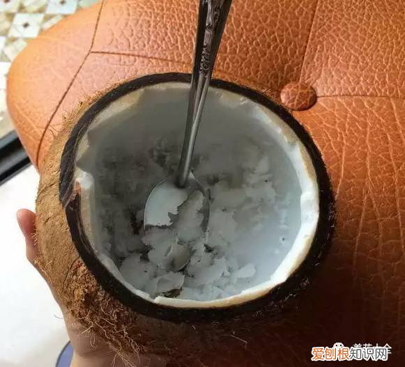 养花小技巧,轻松养,28个养花小绝技,学会你也是养花达人! 养啥都能活