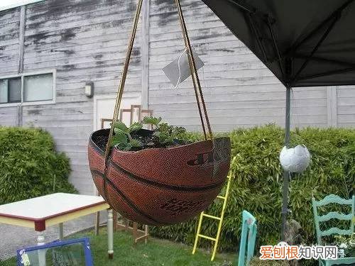 养花小技巧,轻松养,28个养花小绝技,学会你也是养花达人! 养啥都能活