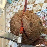 养花小技巧,轻松养，28个养花小绝技，学会你也是养花达人！ 养啥都能活