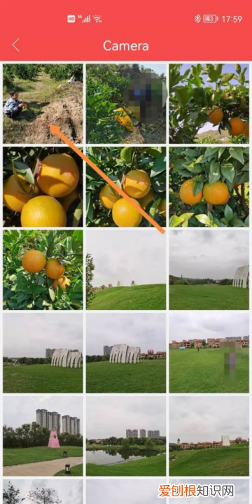 长虹电视投屏要怎么设置，长虹电视投屏设置在哪打开