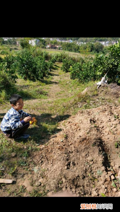 长虹电视投屏要怎么设置，长虹电视投屏设置在哪打开