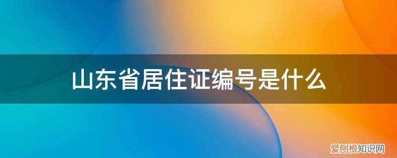 居住证证件编号是什么 山东省居住证编号是什么