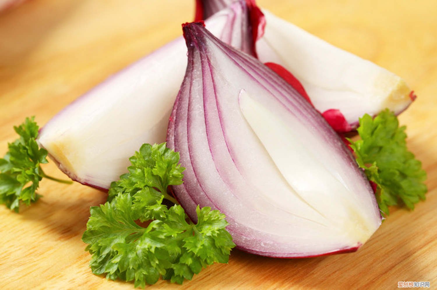 洋葱一般什么时候种植 洋葱怎么种，洋葱什么时候种植